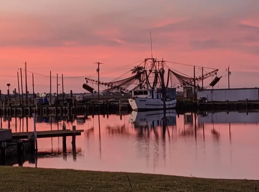 140 County Road 200, Sargent, TX 77414 - Image #3