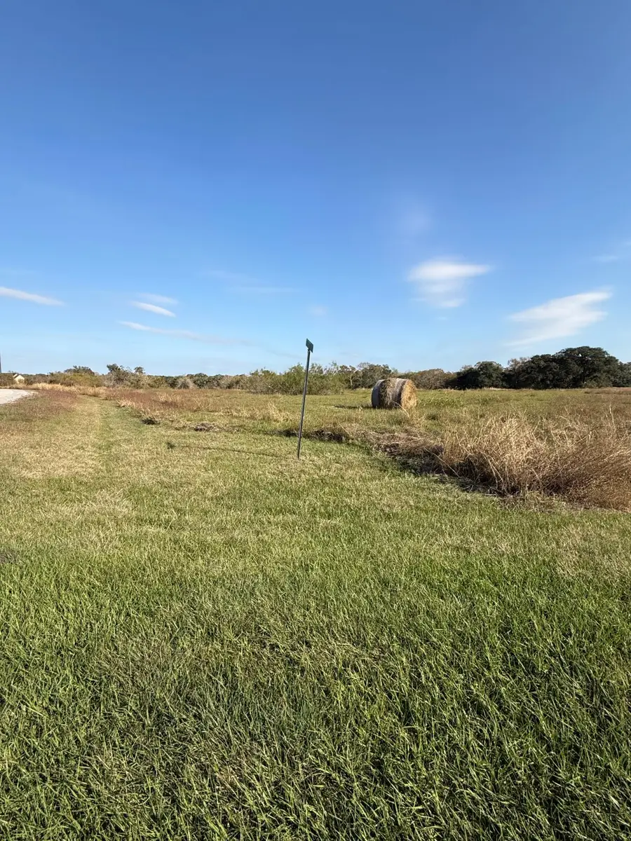 000 River Hollow Way, Blessing, TX 77419 - Image #3