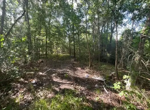 2651 Claire Drive, Orange, TX 77630 - #2