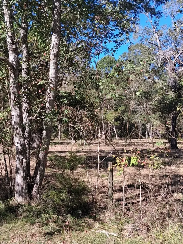 278 County Road 6502 W, Dayton, TX 77535