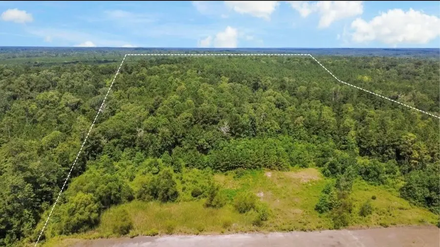 TBD County Road 4090, Woodville, TX 75979 - Image #2