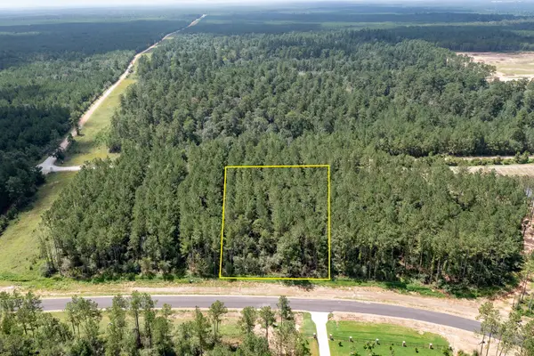 15291 Forest Grove Drive, Willis, TX 77378