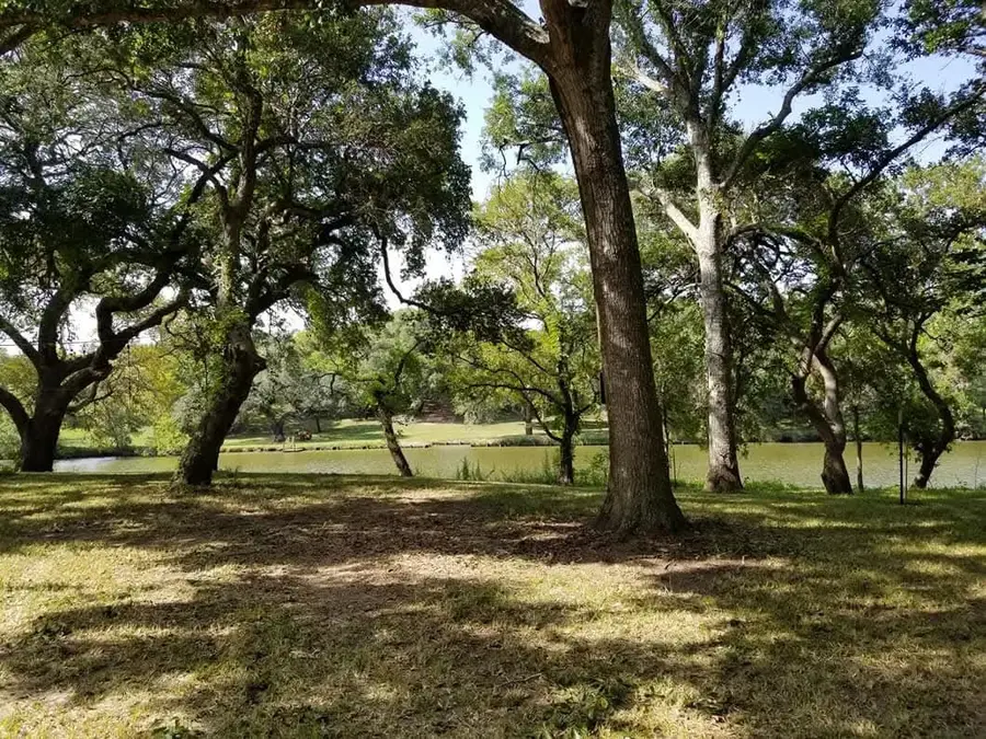 468 Riverside Drive, Palacios, TX 77465 - #3