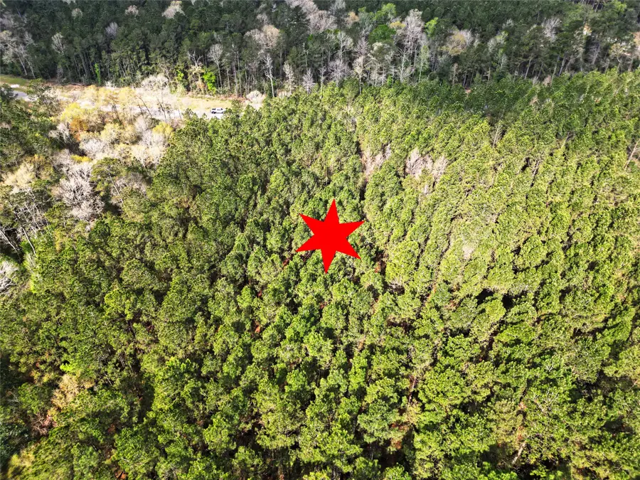 15871 Ridge Oak Road, Willis, TX 77378 - #3