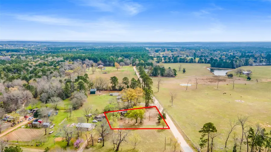 177 County Road 1200, Grapeland, TX 75844 - #2