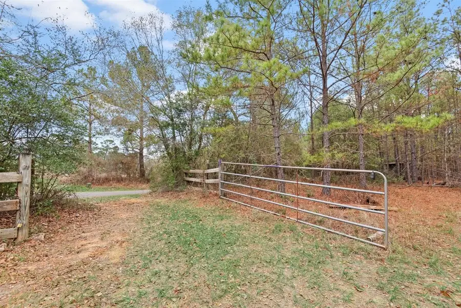 12895 County Road 201, Plantersville, TX 77363 - Image #3