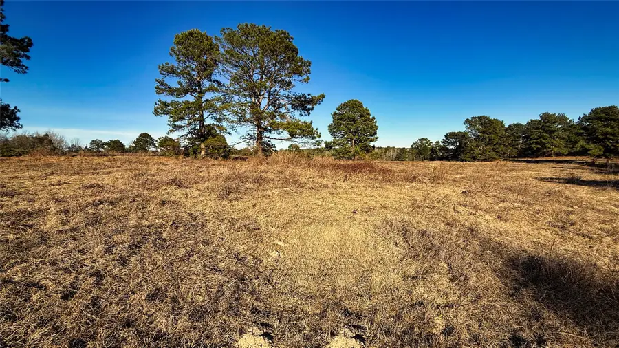 TBD #10 County Road 477, Henderson, TX 75654 - #2