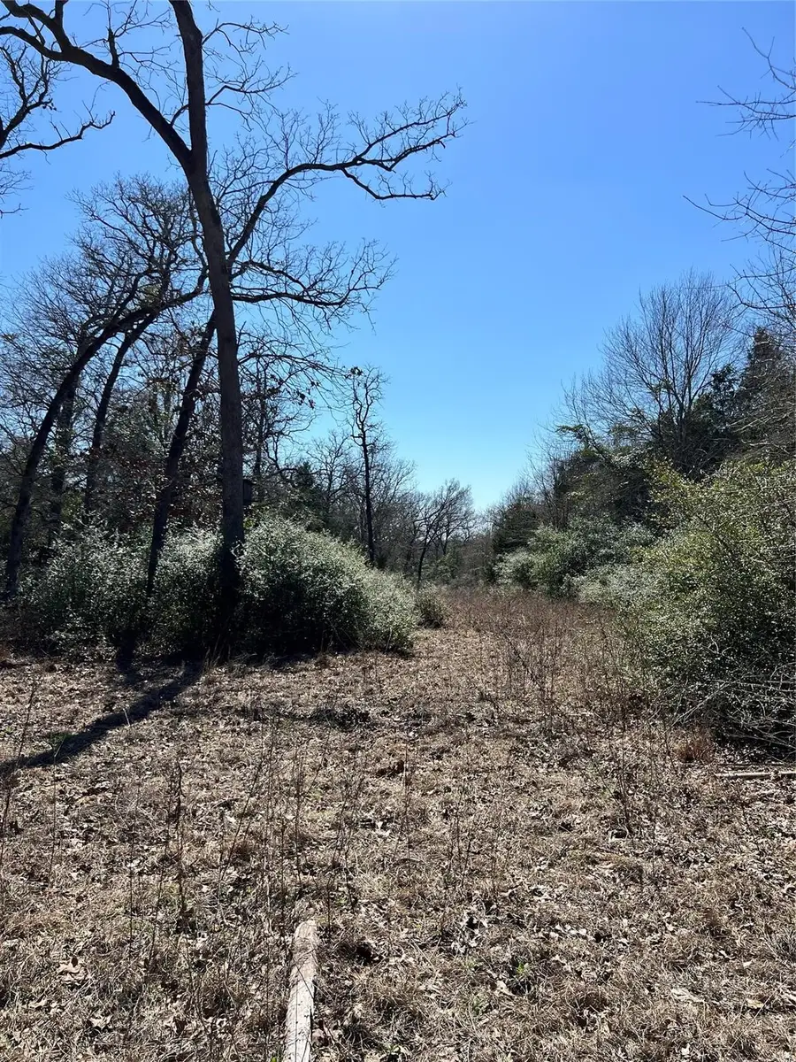 Lot 31 Cr 389, Jewett, TX 75846 - #2