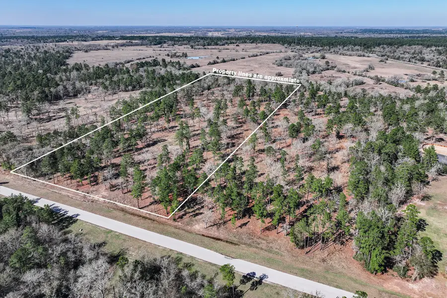 14.5 Ac Westview Dr, Huntsville, TX 77320 - #3