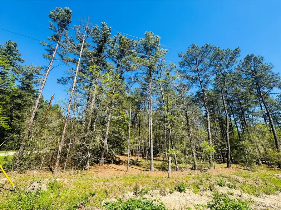 0 Creekbend Drive, Plantersville, TX 77363 - #3