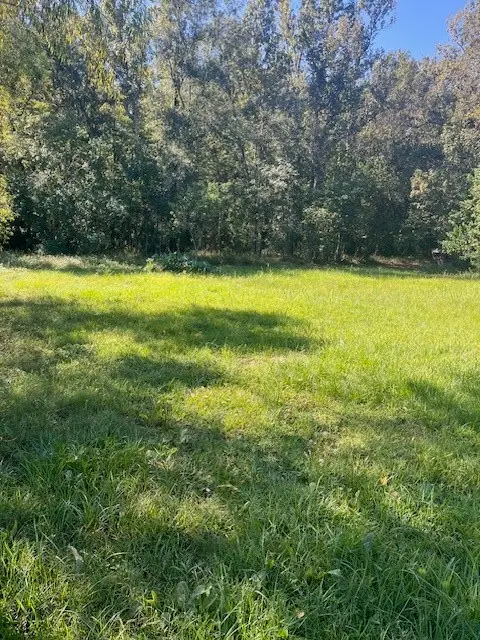 26484 Long Street, Splendora, TX 77372 - Image #2