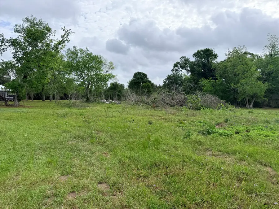 3704 Boone, Damon, TX 77430 - #3