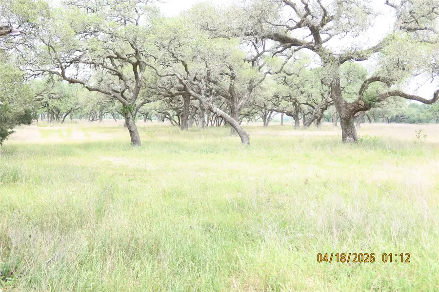 na Rail Head Road, Columbus, TX 78934 - #3