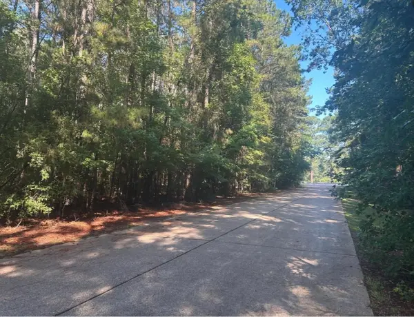 LOT 16 Forse Street, Woodville, TX 75979