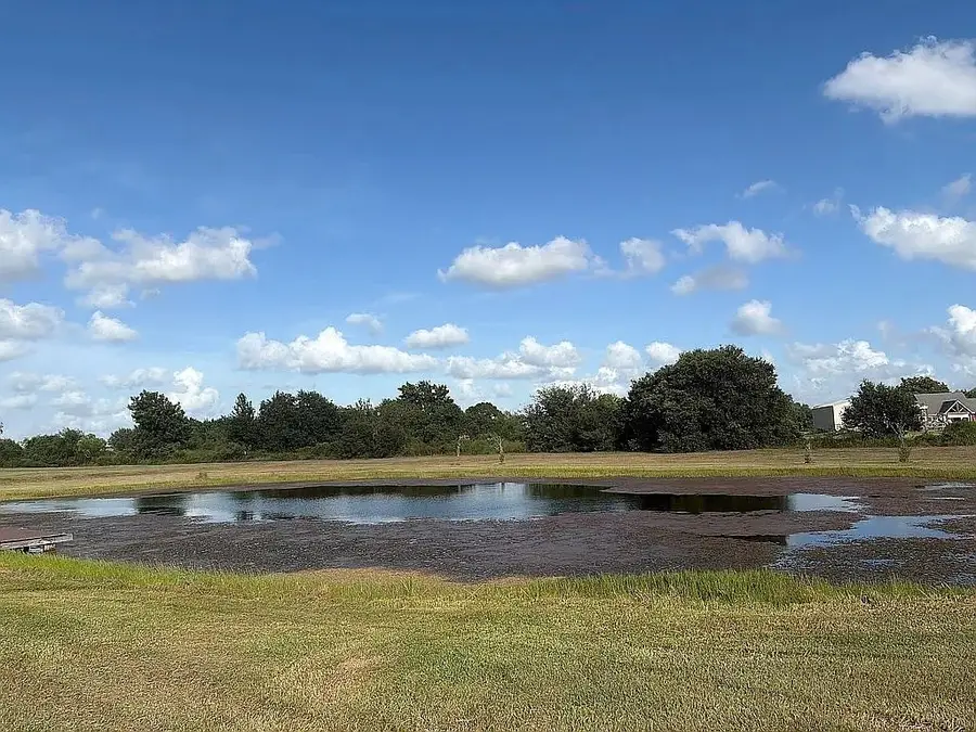 1143 Angus Trail, Angleton, TX 77515 - #2