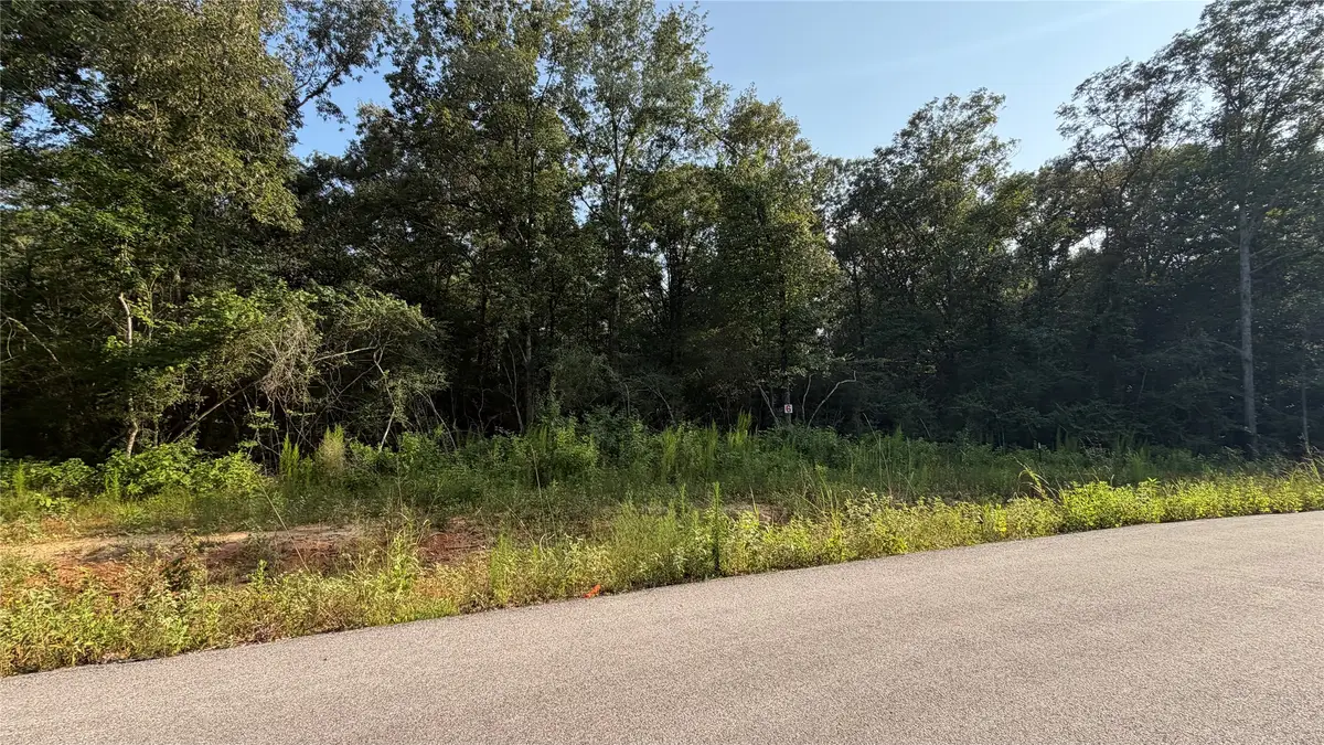 217 County Road 6311, Dayton, TX 77535 - #1