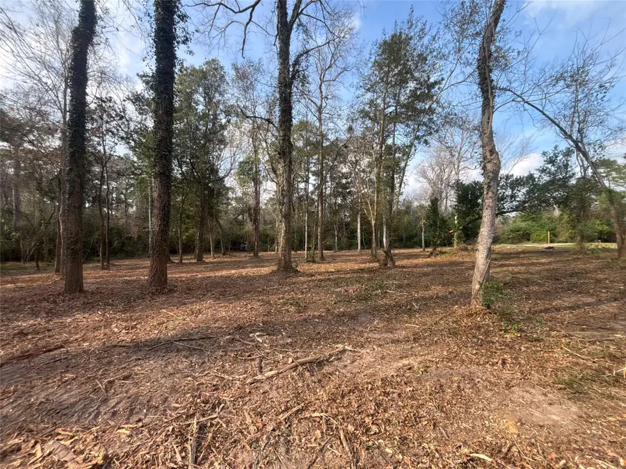 1742 Woodway Drive, Woodbranch, TX 77357 - #2