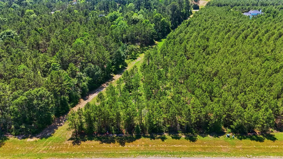 15979 Wood Grove Way, Willis, TX 77378 - #1