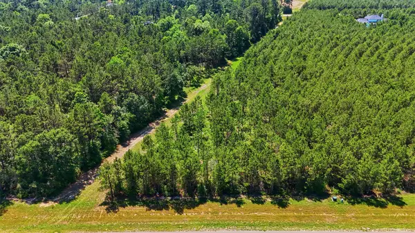 15979 Wood Grove Way, Willis, TX 77378