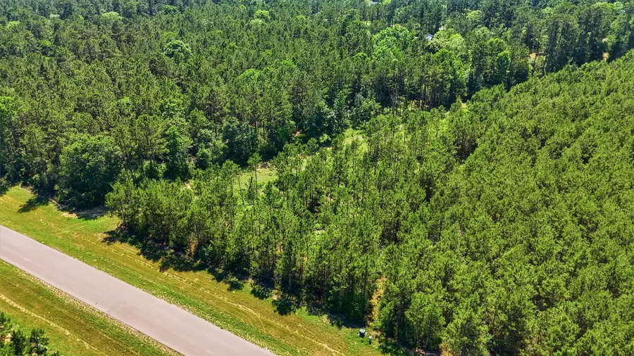 15979 Wood Grove Way, Willis, TX 77378 - #2