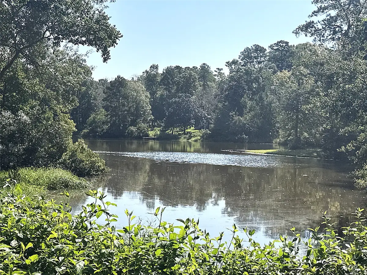 197 Baileys Lane, Livingston, TX 77351 - #1