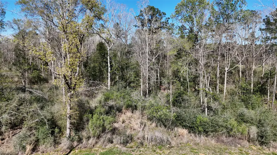 TBD 8 & 9 Aggie Avenue, Livingston, TX 77351 - #2