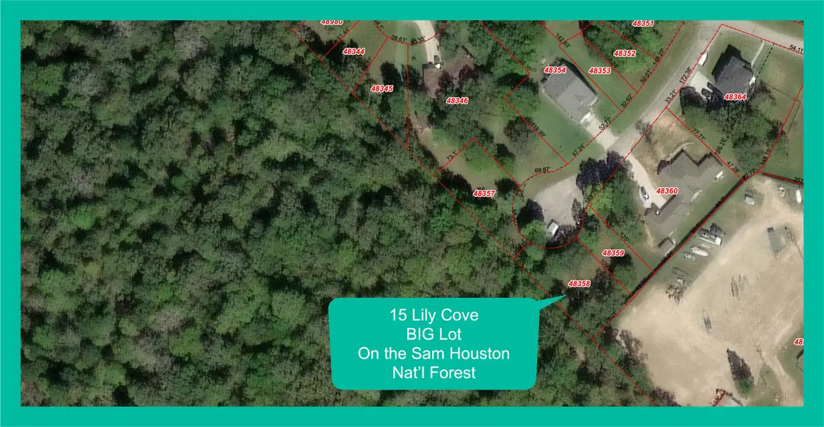 15 Lily Cove, Huntsville, TX 77340 - Image #1