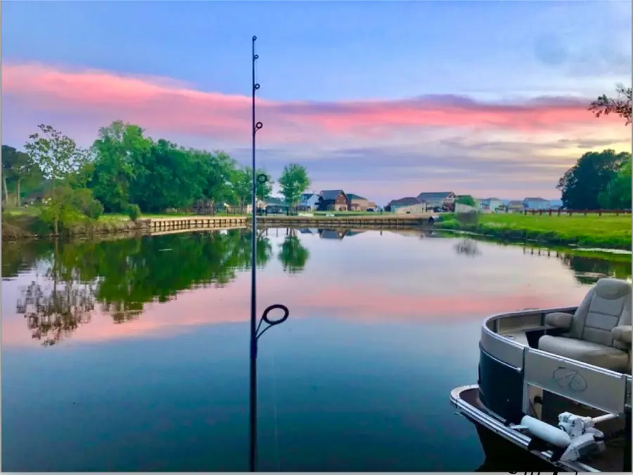 15 Lily Cove, Huntsville, TX 77340 - Image #3