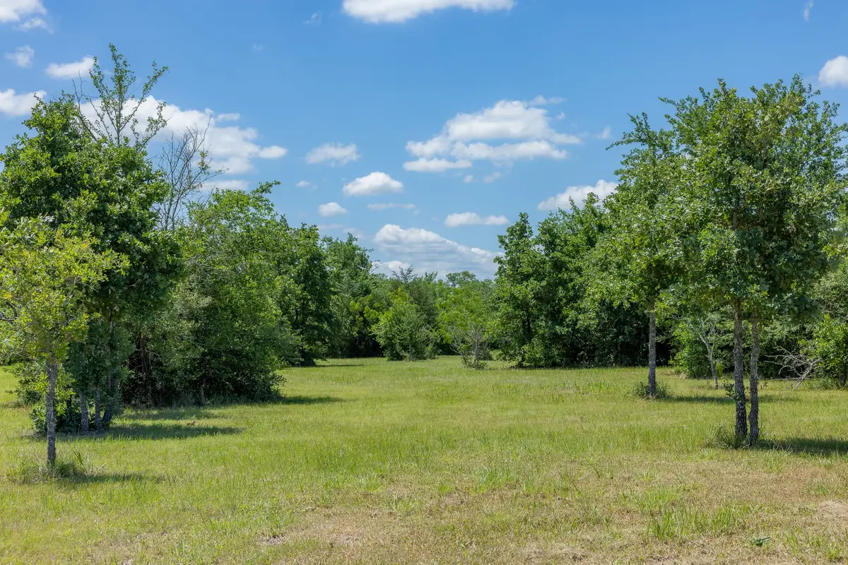 6774 Atakapan Trail, Bedias, TX 77831 - #1