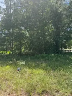 15829 Cottonwood Drive, Montgomery, TX 77356