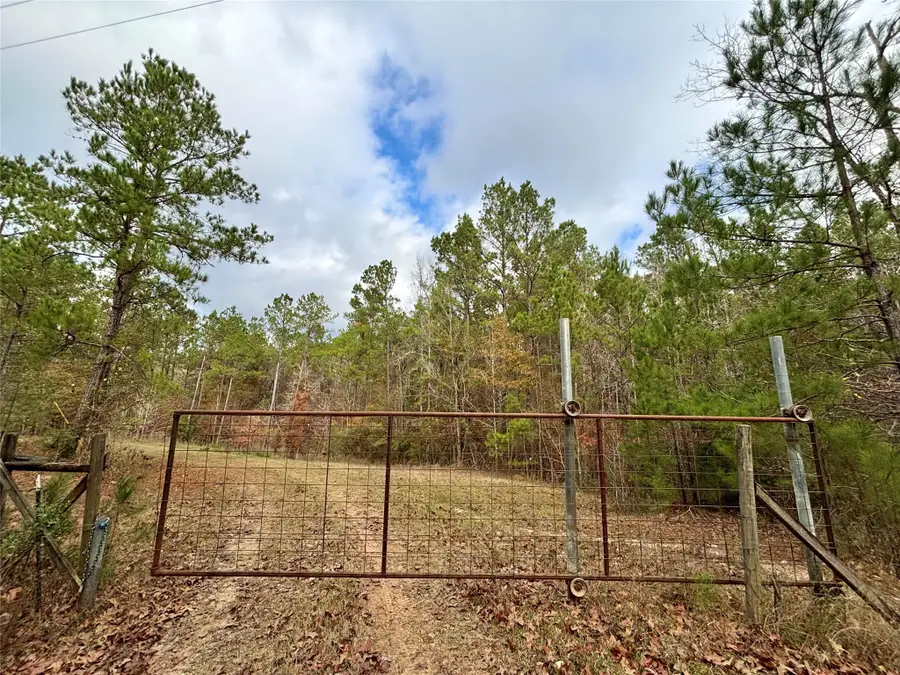 235 Private Road 6912, Colmesneil, TX 75938 - Image #2