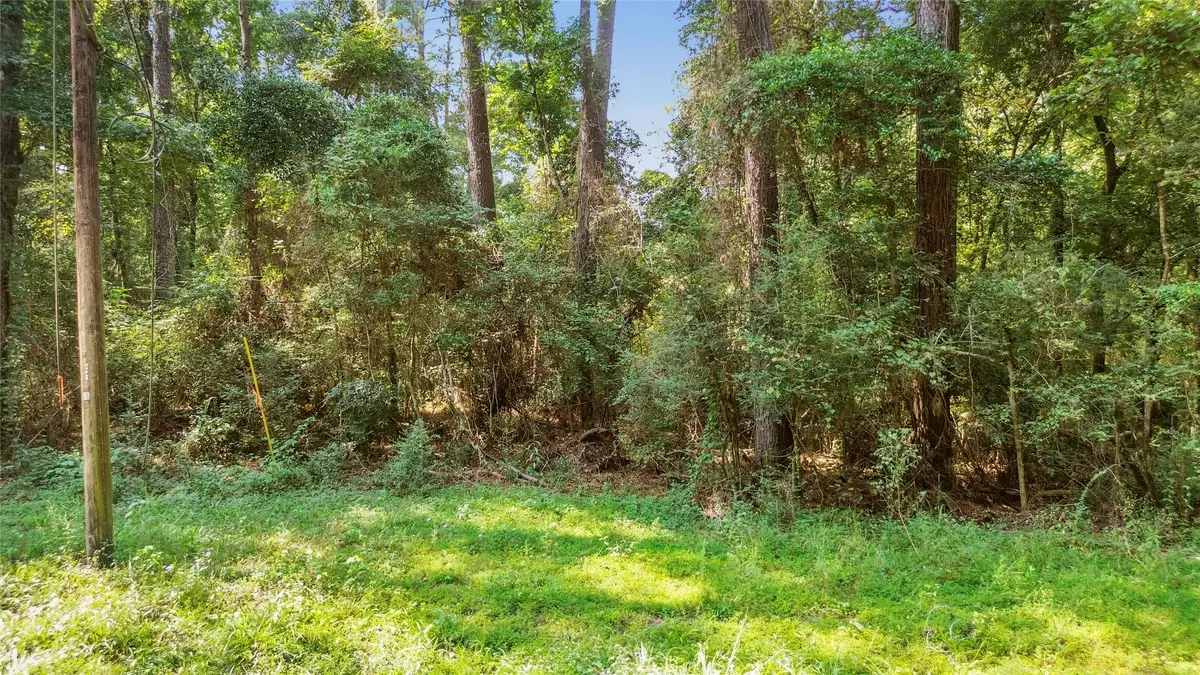 12865 Royal Forest Dr, Conroe, TX 77303 - Image #1