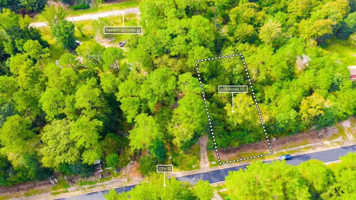 Lot 12 17th Street, Ivanhoe, TX 75979 - Image #1