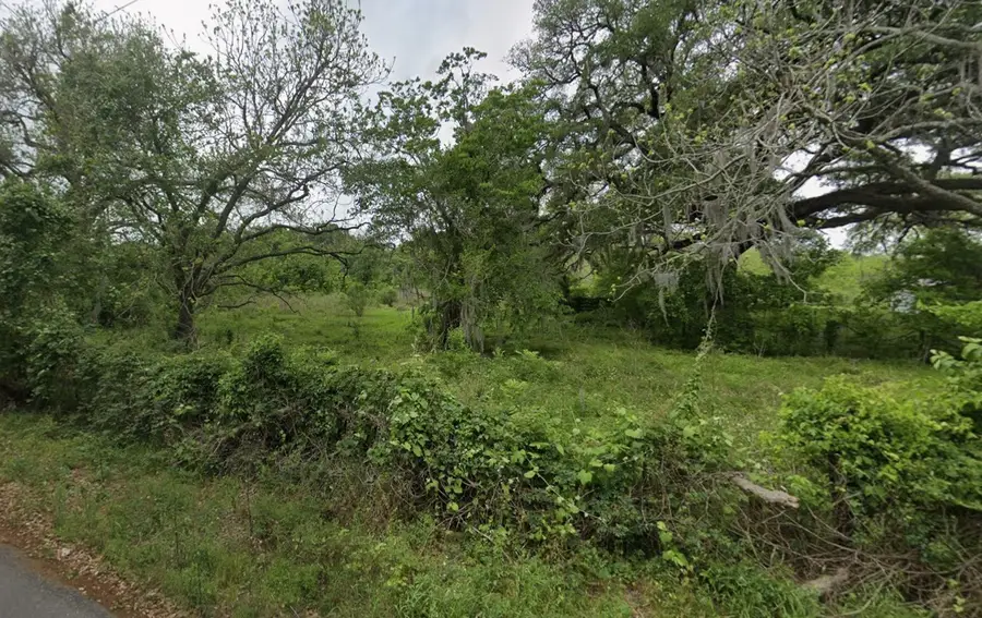 2941-16 County Road 352 Road, Brazoria, TX 77422 - #2