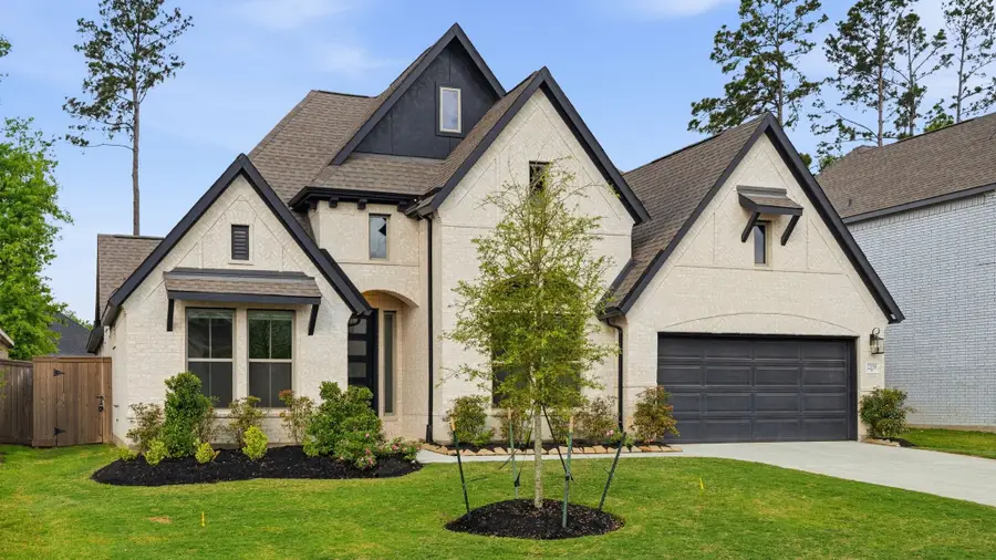 22038 Gateway Arch Drive, Porter, TX 77365 - #2