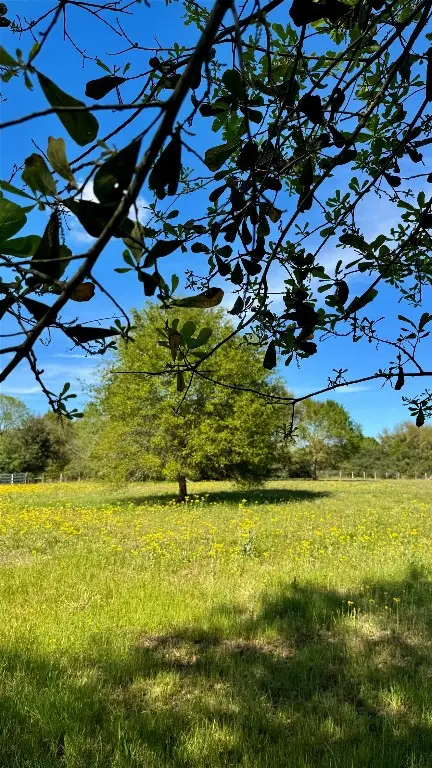 0 Meadow Creek Road, Hockley, TX 77447