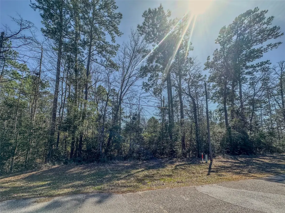 TBD N Canyon Drive, Onalaska, TX 77360 - Image #1