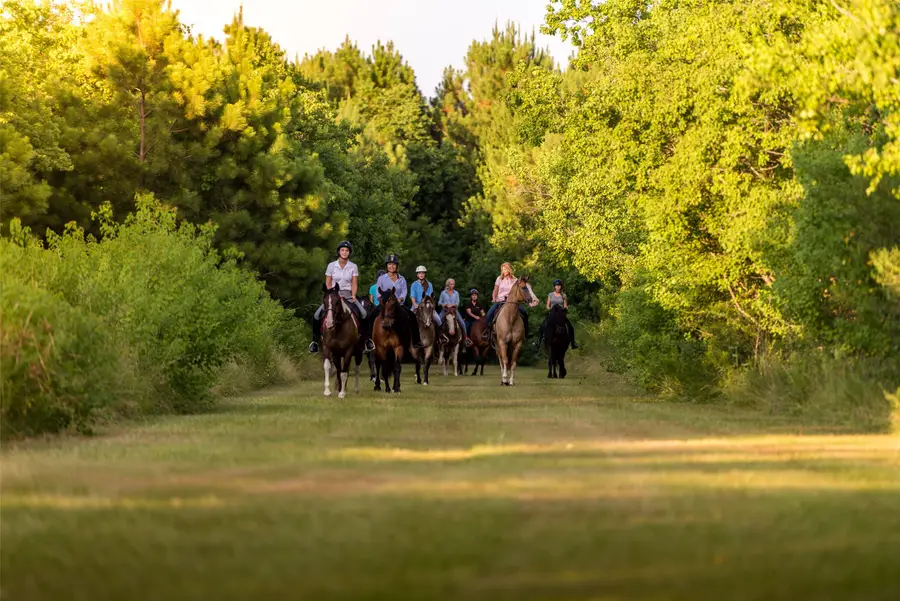 35 Sunlit Song Lane, Tomball, TX 77377 - #3