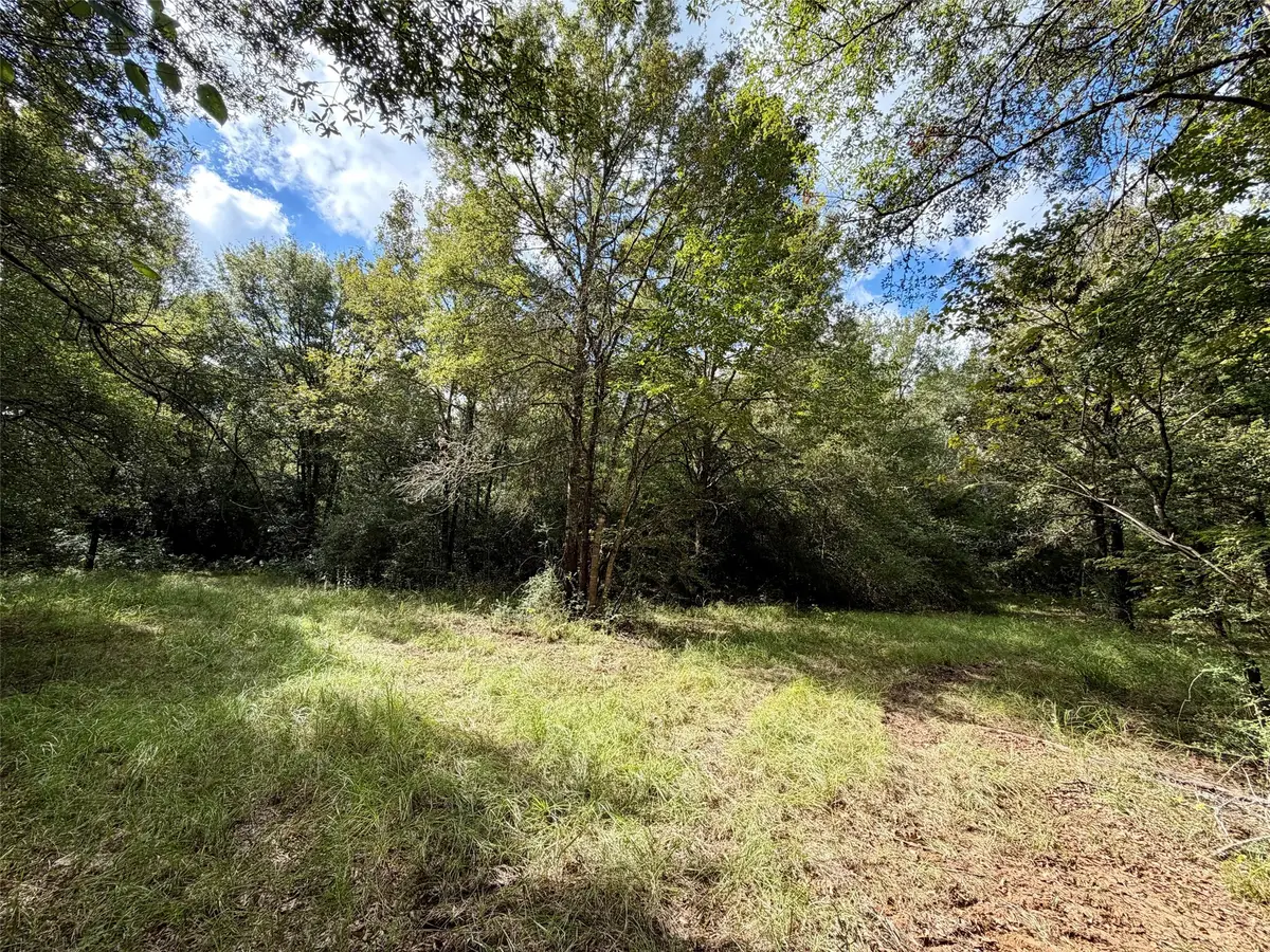 13 ac Pr 2110, Centerville, TX 75833 - #1