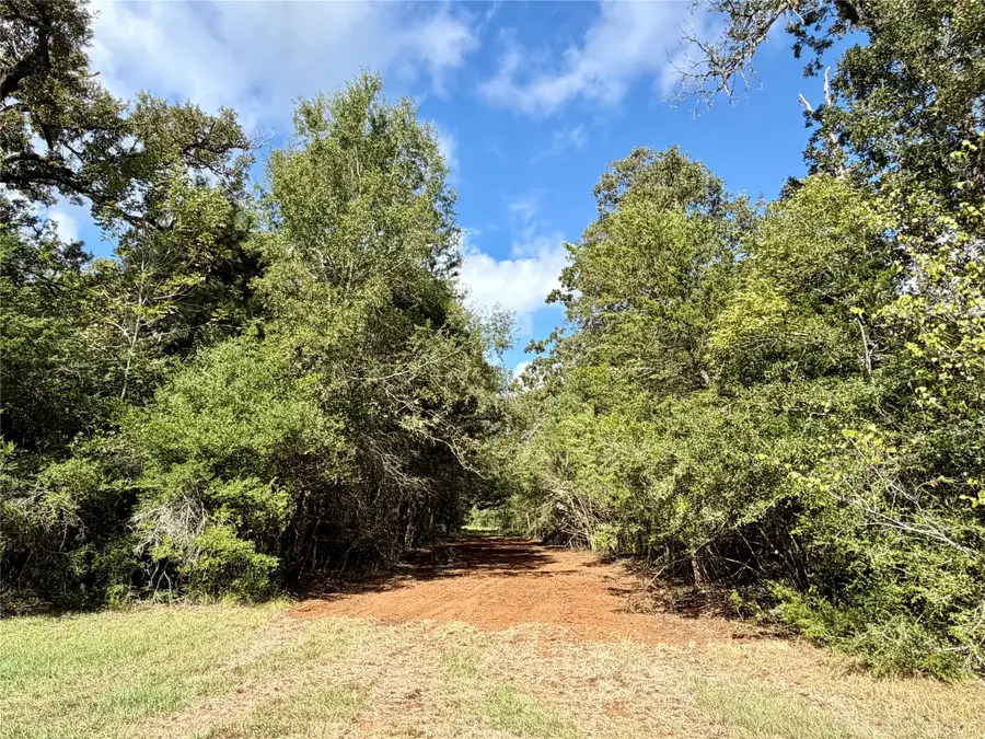 13 ac Pr 2110, Centerville, TX 75833 - #3