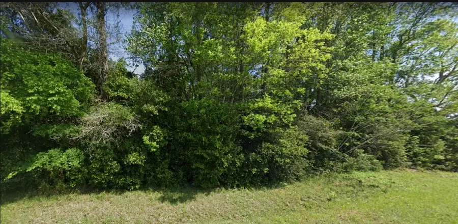 0 Johnnie Cash Road, Livingston, TX 77351 - #3