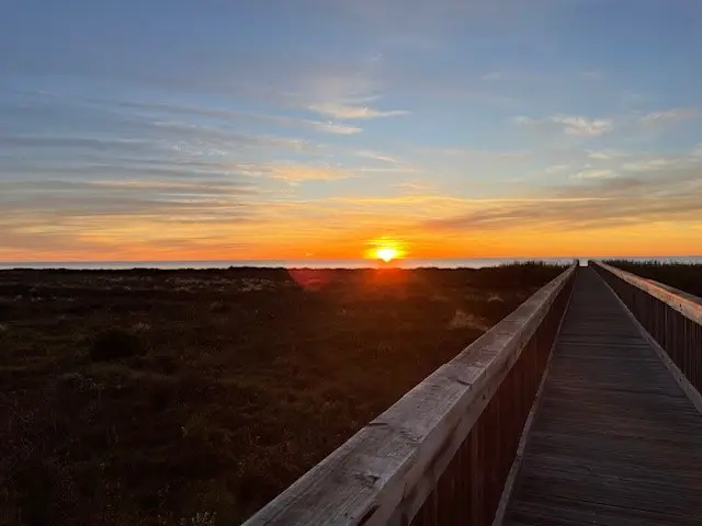 4147 Great Blue Heron Drive, Galveston, TX 77554 - #1