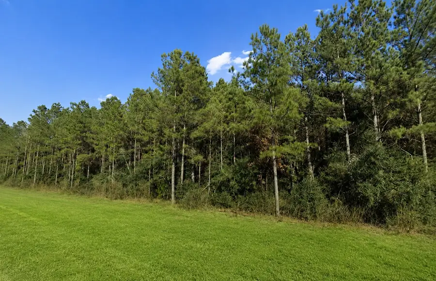 12684 Oak Barrel Road, Willis, TX 77378 - #3