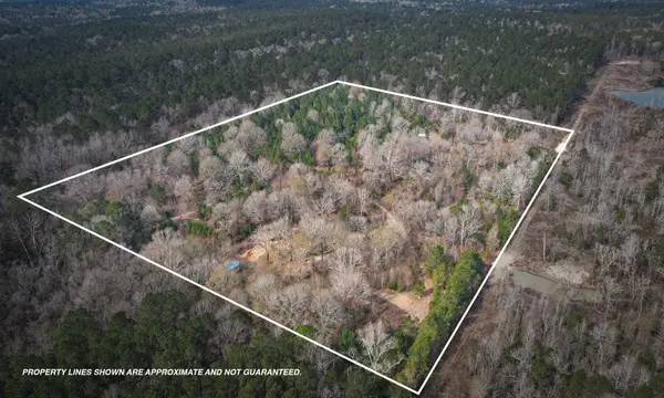 495 Pinecrest Drive, Point Blank, TX 77364