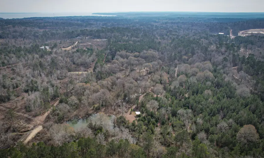 495 Pinecrest Drive, Point Blank, TX 77364 - #3