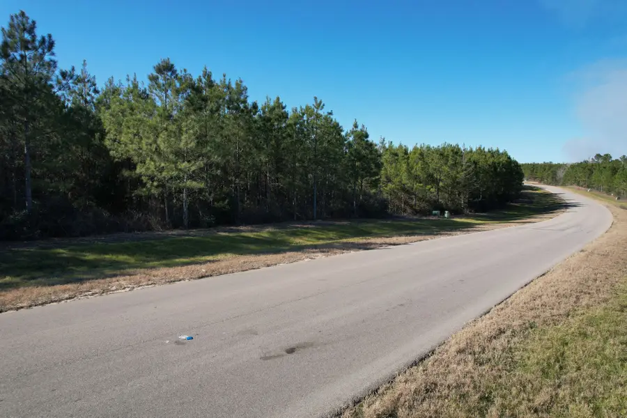 15991 Wood Grove Way, Willis, TX 77378 - #3