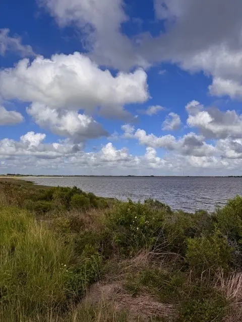 0 Highway 35, Palacios, TX 77465 - #1