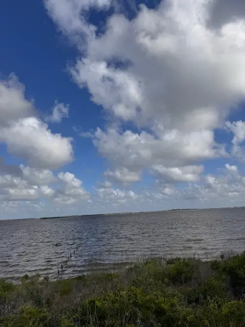 0 Highway 35, Palacios, TX 77465 - #2