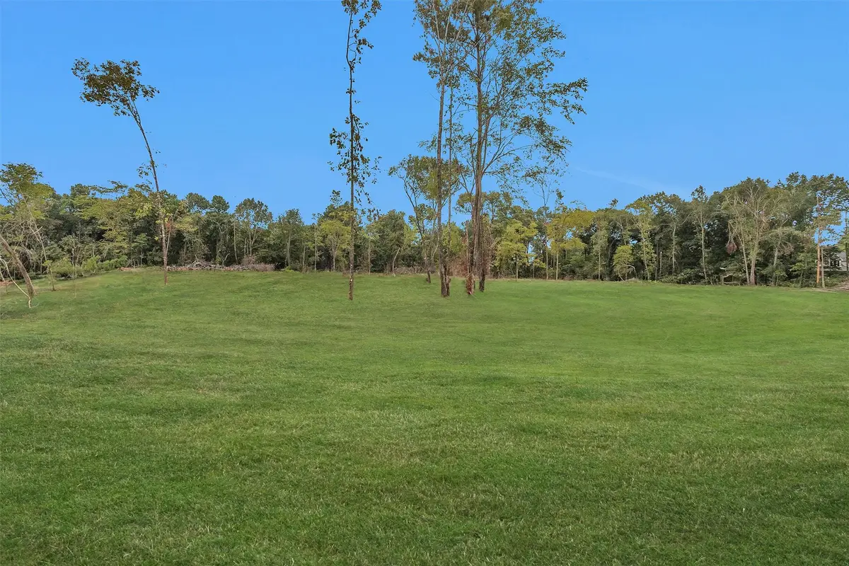 11125 Womack Cemetery Road, Montgomery, TX 77316 - #1