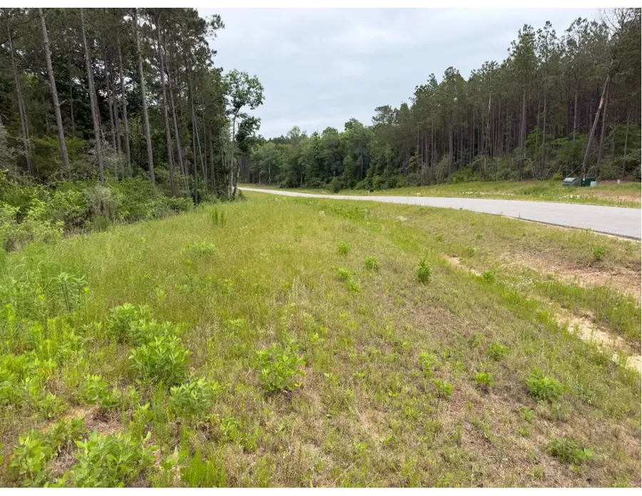 15890 Ridge Oak Road, Willis, TX 77378 - #2
